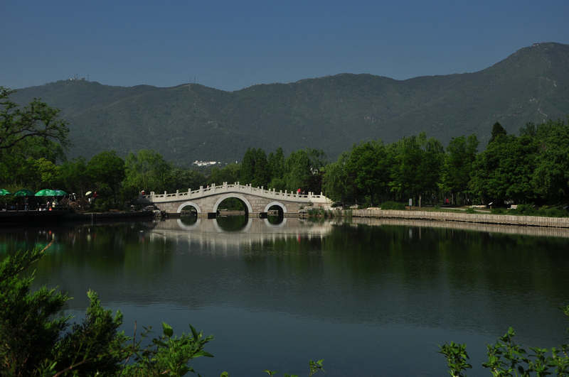 北京植物园 摄影 四季之首