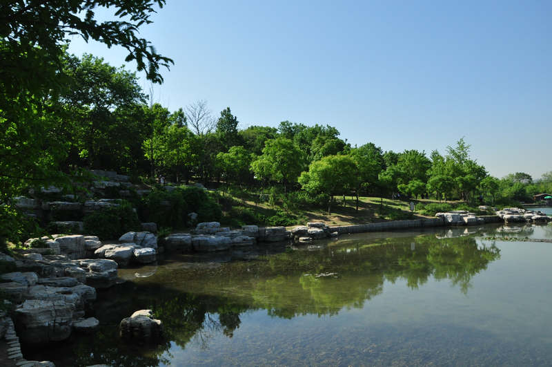 北京植物园 摄影 四季之首