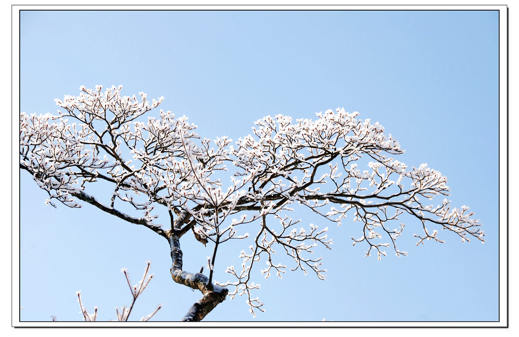 雪花 摄影 千岛湖