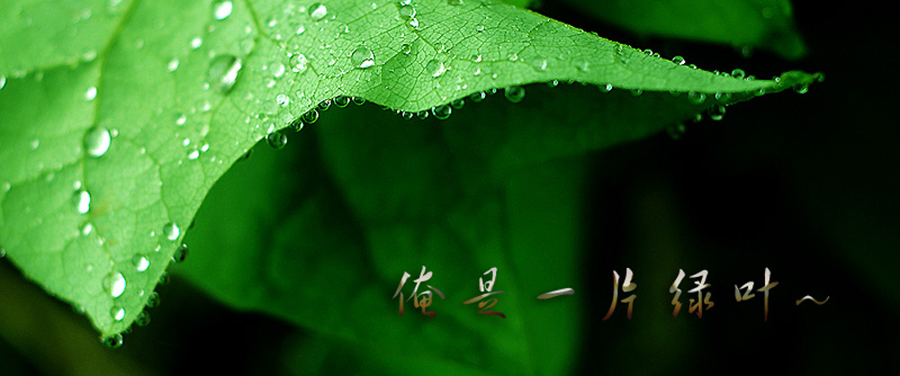 雨露滋润 摄影 凤儿龙子