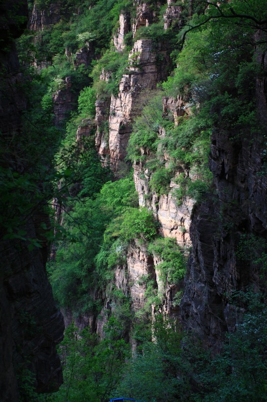 太行山 摄影 强老哥