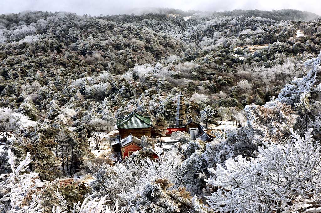 鲁山驼峰寺 摄影 布衣山农