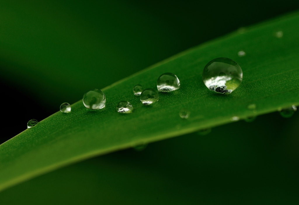 雨后（二） 摄影 沽上野柳