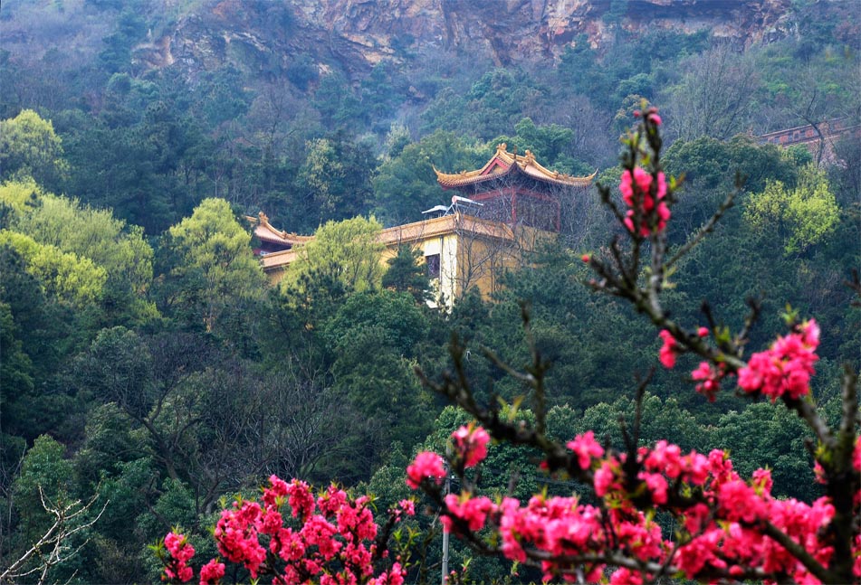 阳山禅寺 摄影 禾子