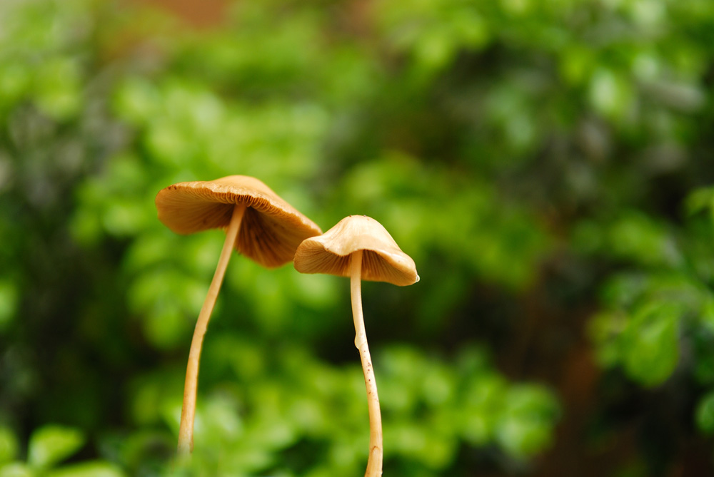 雨后 摄影 天涯浪人