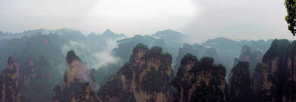 烟雨张家界 摄影 古藤老树