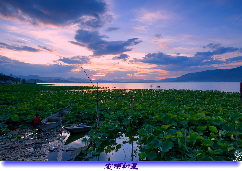 龙湖初夏 摄影 阳光先生