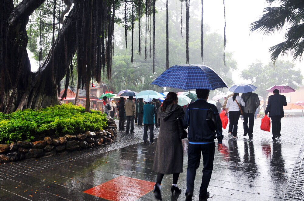 雨中情 摄影 水城人