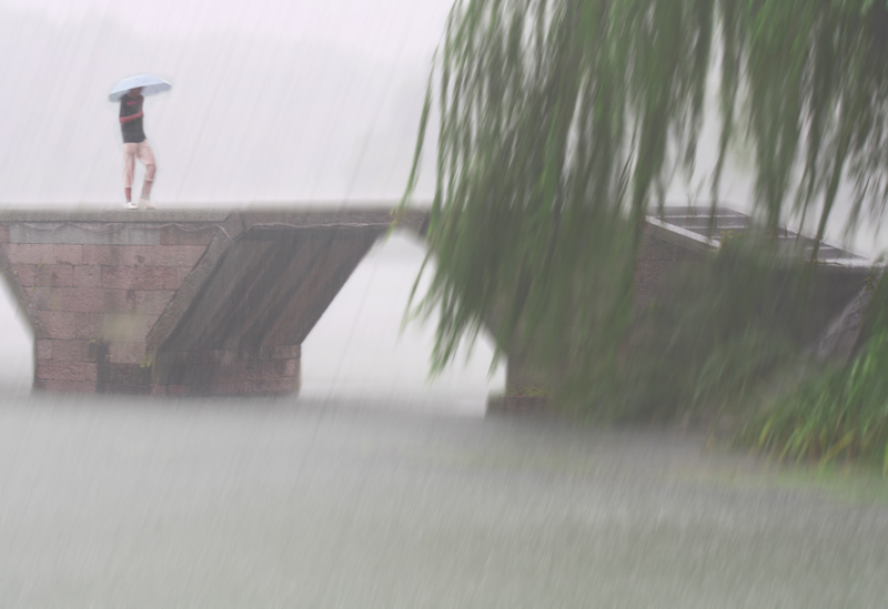 豪雨 摄影 昕昕