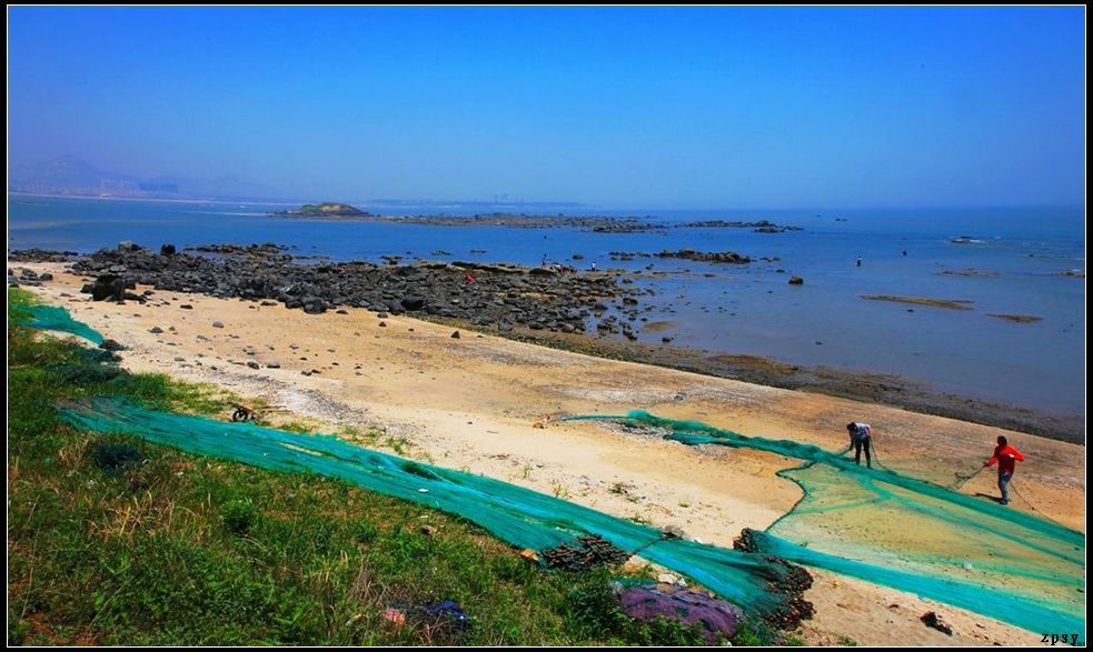 海岛一家2 摄影 猫海