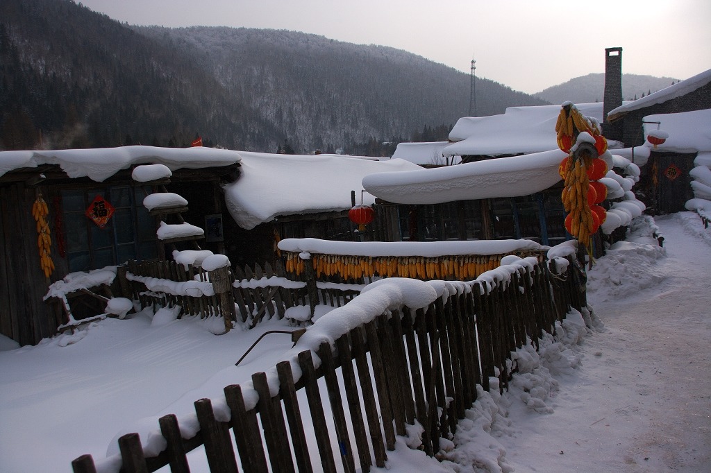 雪乡 摄影 黑胶盘