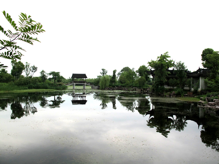 静雅 摄影 八九点