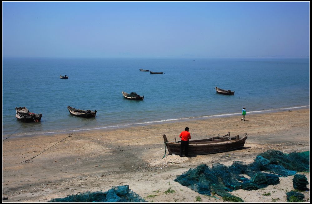海  边 摄影 猫海