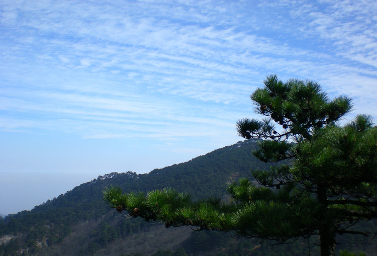 黄山 摄影 焉焉草