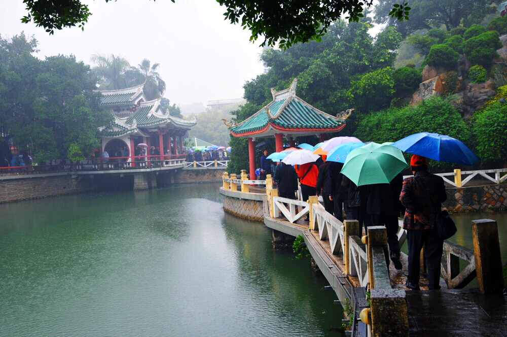 雨中游 摄影 水城人