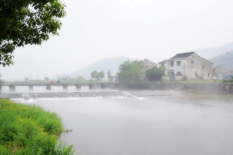 在雨中 摄影 叶韵