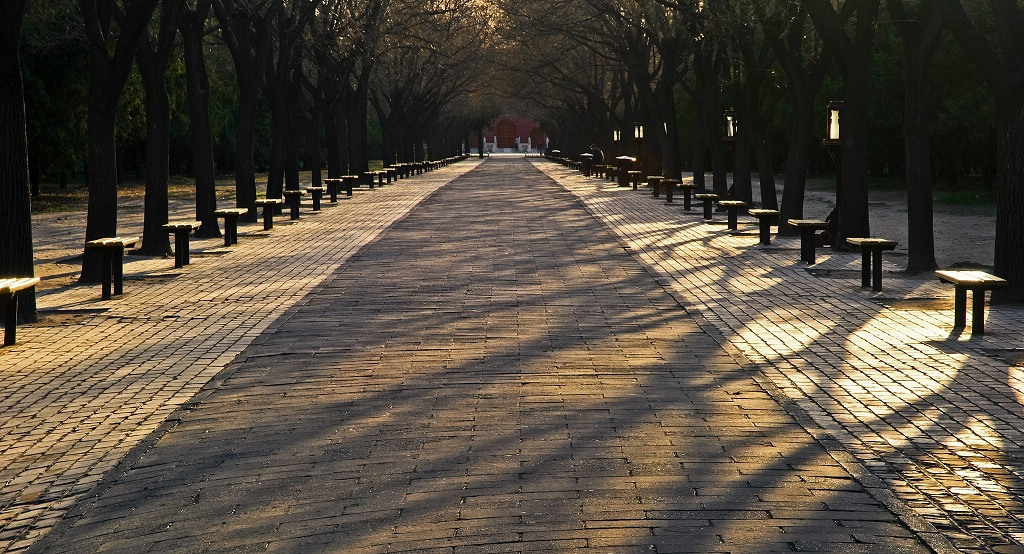 夕照林荫道 摄影 相逢是歌