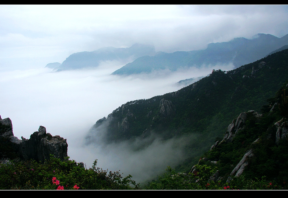 云雾庐山 摄影 随忆