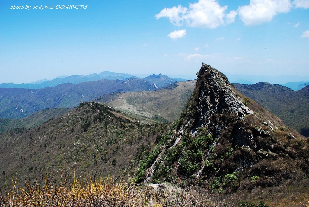 大秦岭 摄影 阳光灿烂中