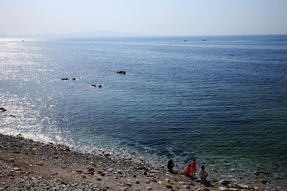 海  边 摄影 猫海
