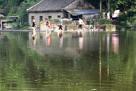 过河 摄影 feishihua