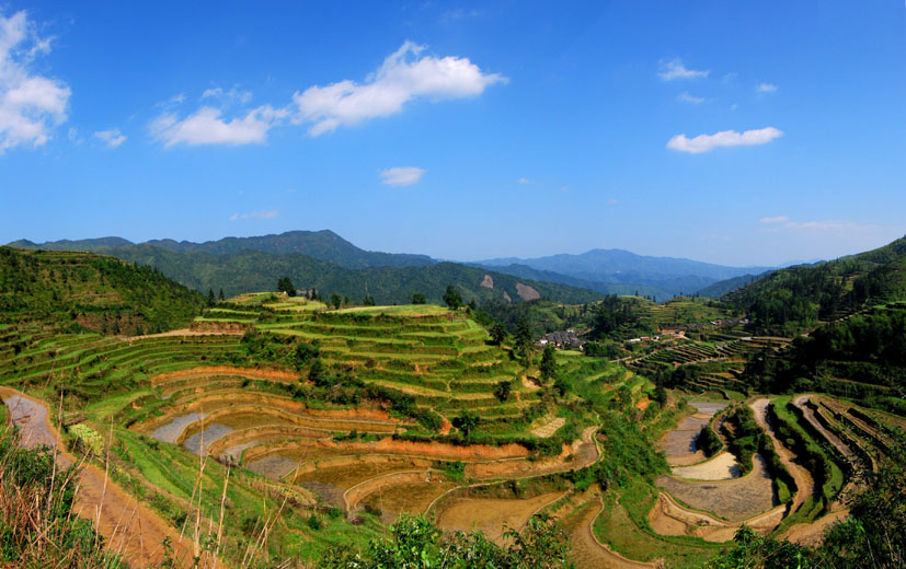 五山石下梯田 摄影 老百姓