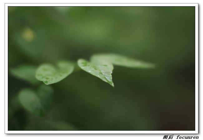 雨后 摄影 佛村人