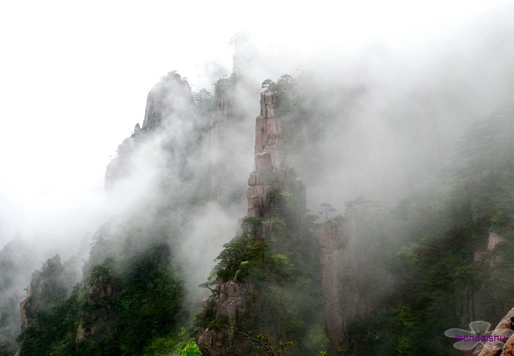 雾伴黄山2 摄影 老槐树