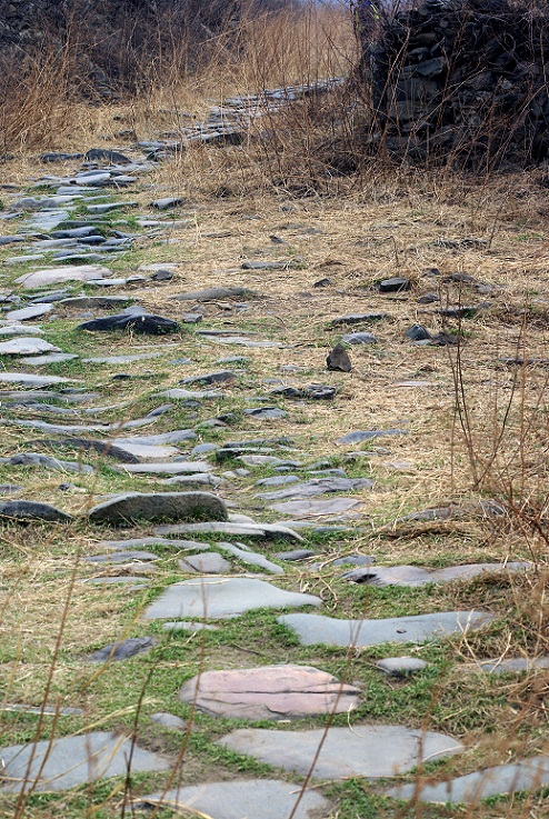 古道 摄影 小Jo