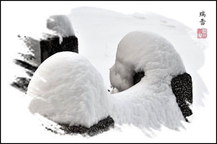 瑞雪 摄影 洹水流沙