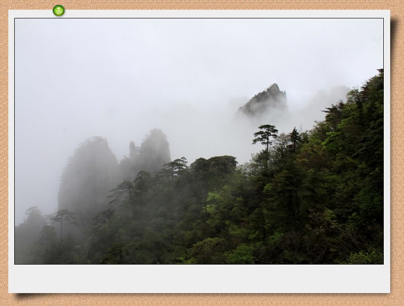 雾雨黄山行（一） 摄影 多木