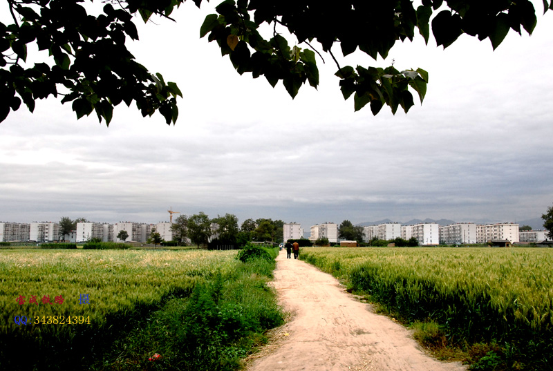 家园 摄影 宝成铁路