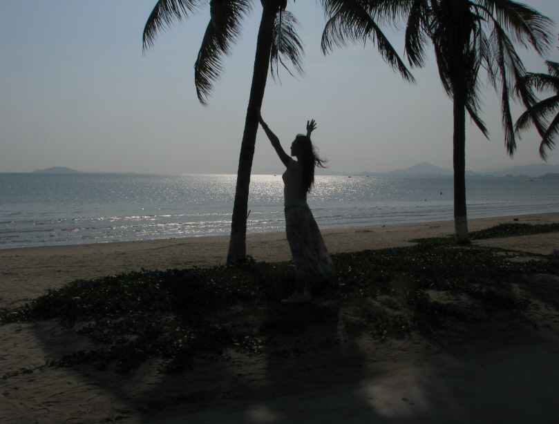 海湾风情 摄影 海恰