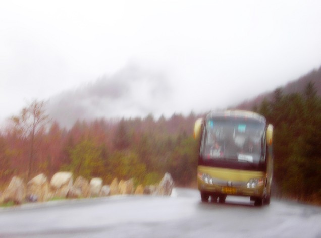 巴山风雨访神农 摄影 香瓜虫