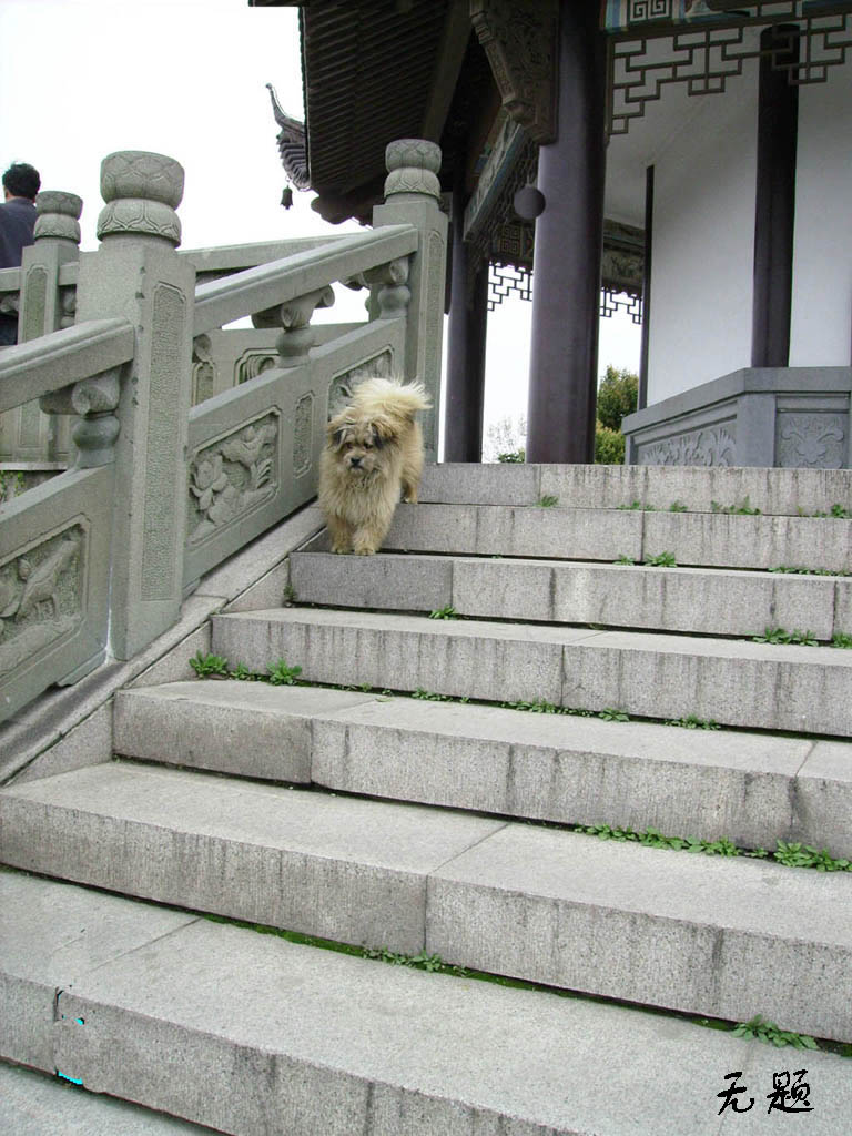 随机 摄影 晚景