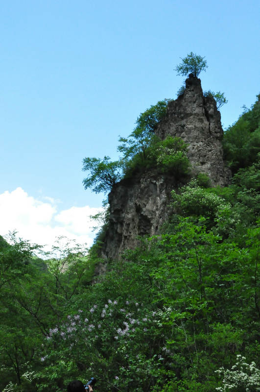 矮树与高山 摄影 四季之首