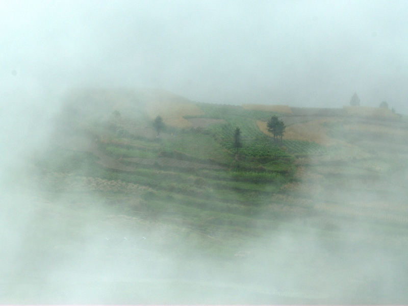 风调雨顺 摄影 烂柯山