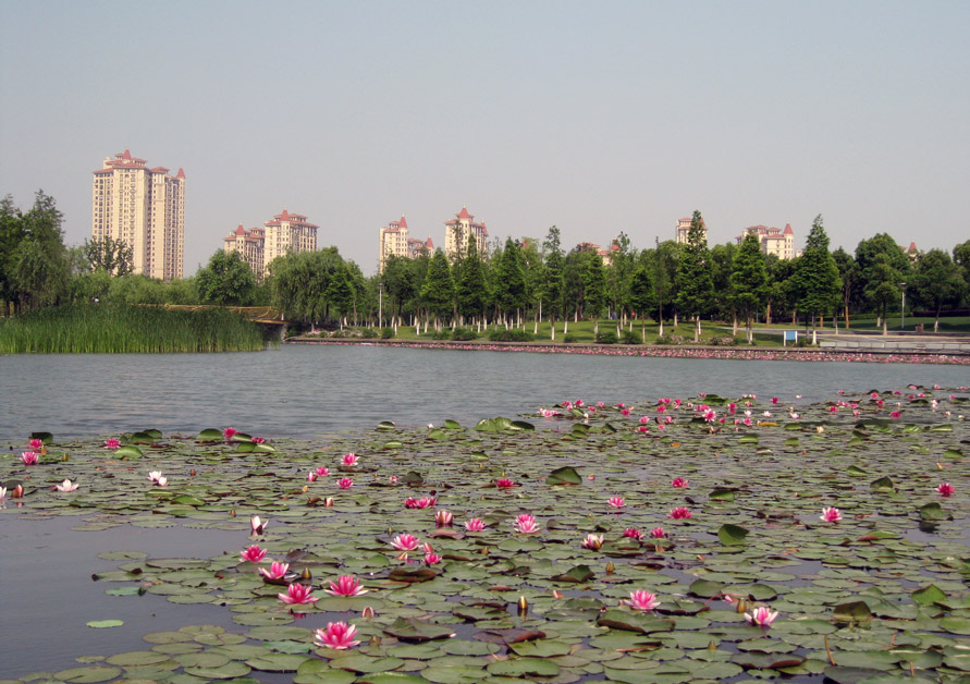 小城风光之八 摄影 港城坤歌