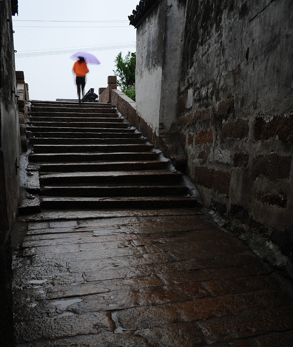 江南雨 摄影 星雨