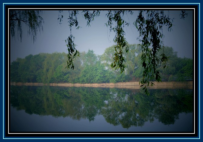 北陵风景 摄影 飞翔的野鹤