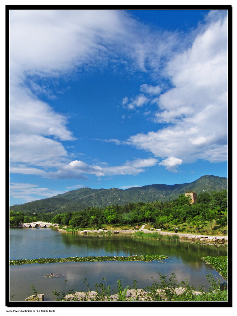 香山植物园 摄影 老士兵