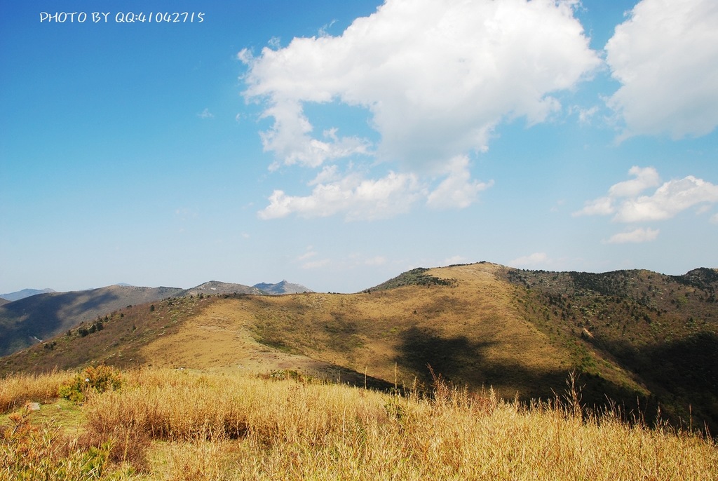 大秦岭之高山草甸 摄影 阳光灿烂中