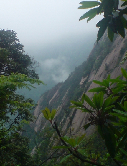 雨中黄山 摄影 阿戈