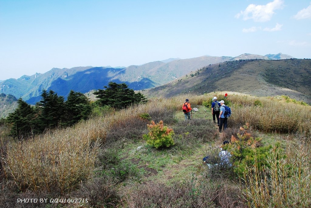 大秦岭高山草甸 摄影 阳光灿烂中