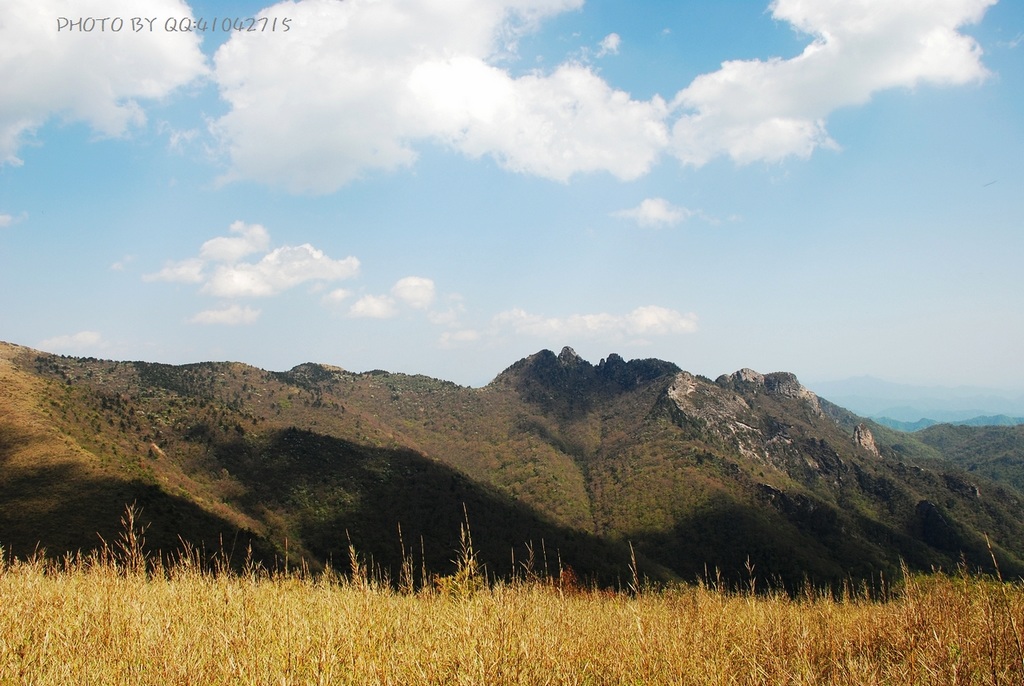 大秦岭之高山草甸 摄影 阳光灿烂中