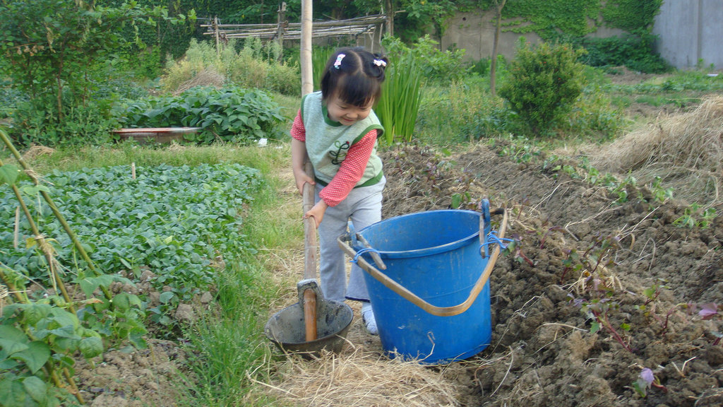 这是我家菜园，不是QQ农场，请勿偷菜。 摄影 河山子