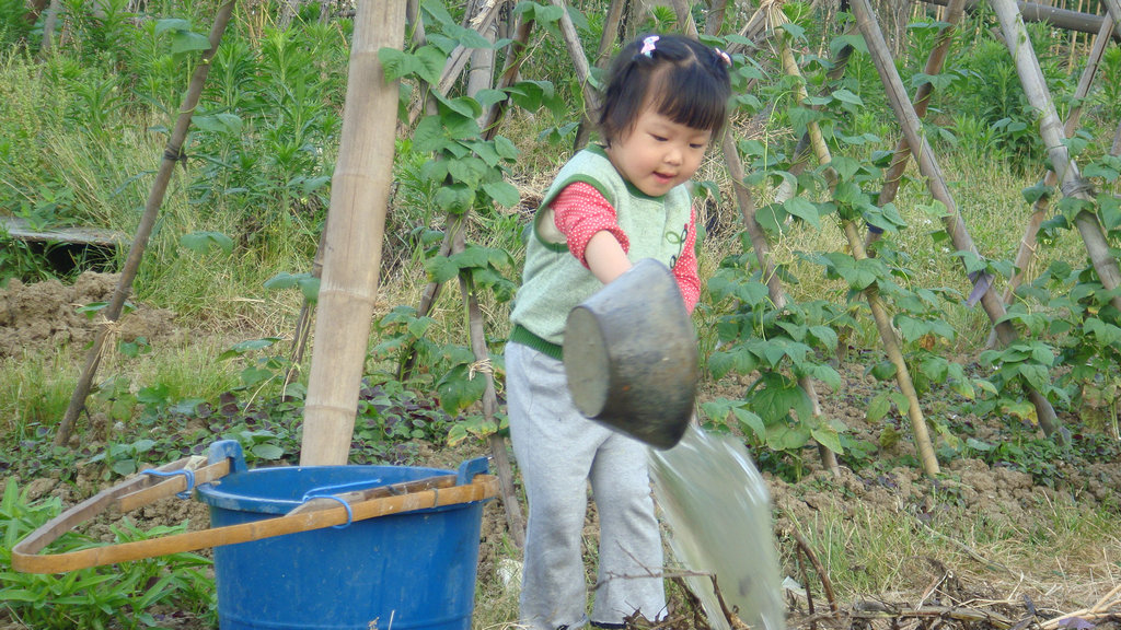 二岁小村姑 摄影 河山子