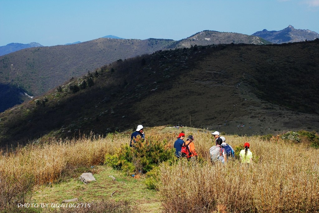 大秦岭高山草甸 摄影 阳光灿烂中