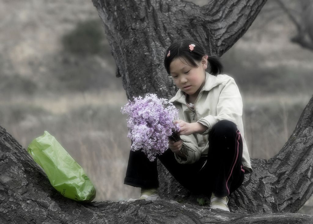 花季 摄影 垦荒牛