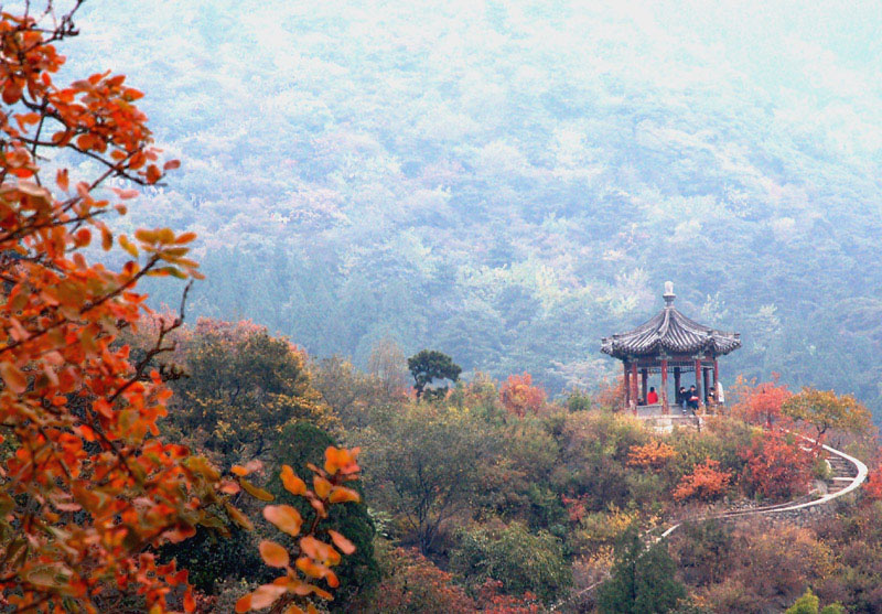 古道黄栌红 摄影 燕山春子